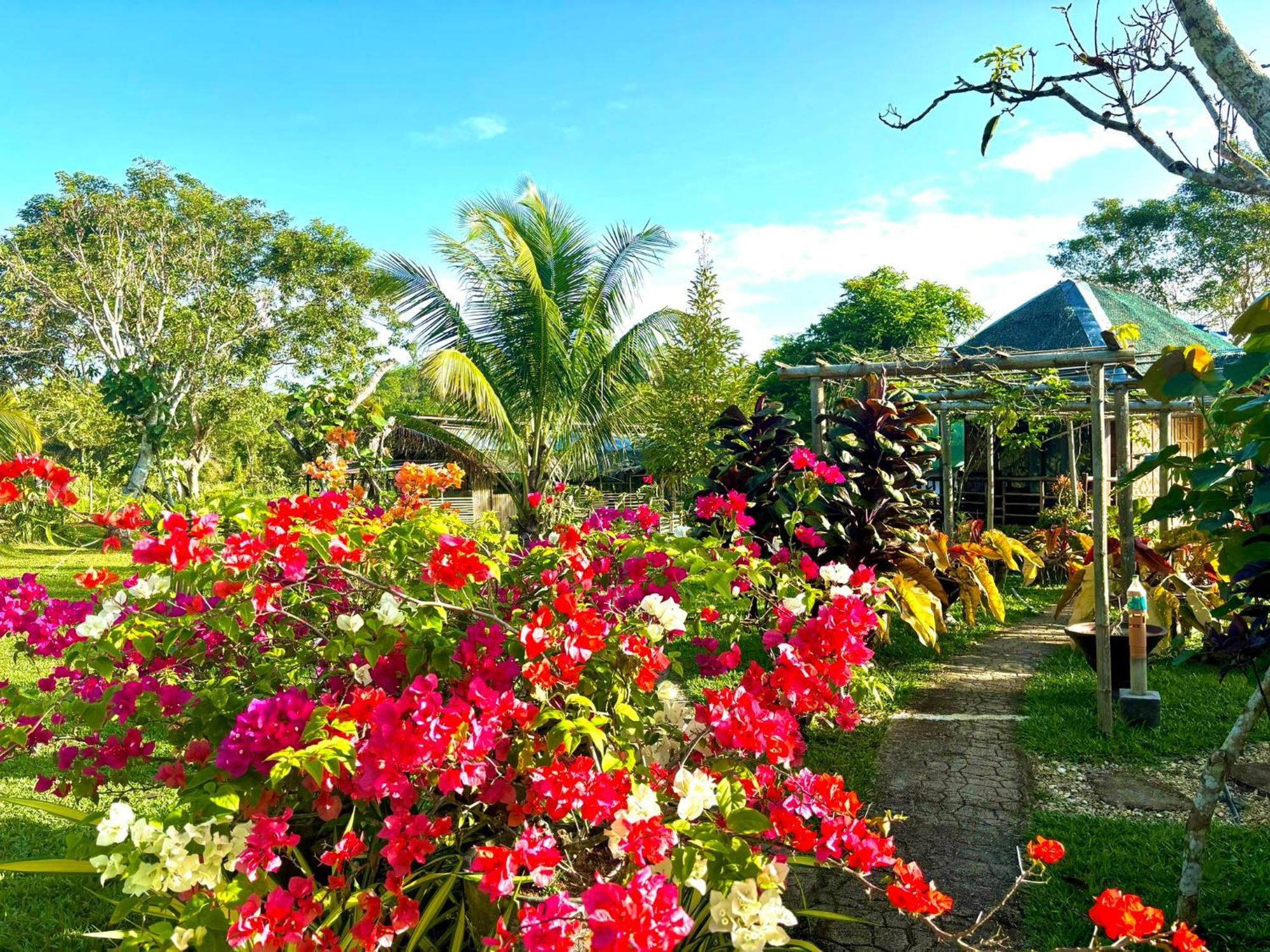 Camelo Farm Hotel Bilar Kültér fotó